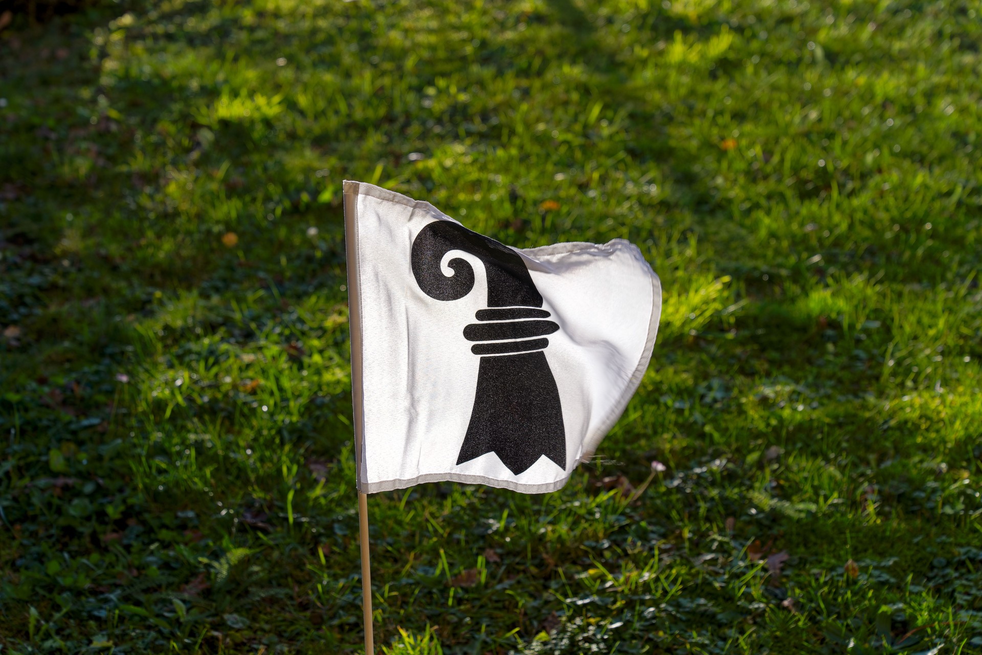 Close-up of flag of Canton of Basel Stadt  waving with defocus background at garden at Swiss town.